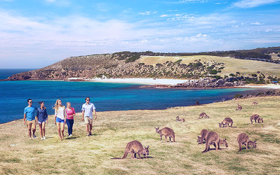 Kangaroo Island, Australia's answer to the Galapágos